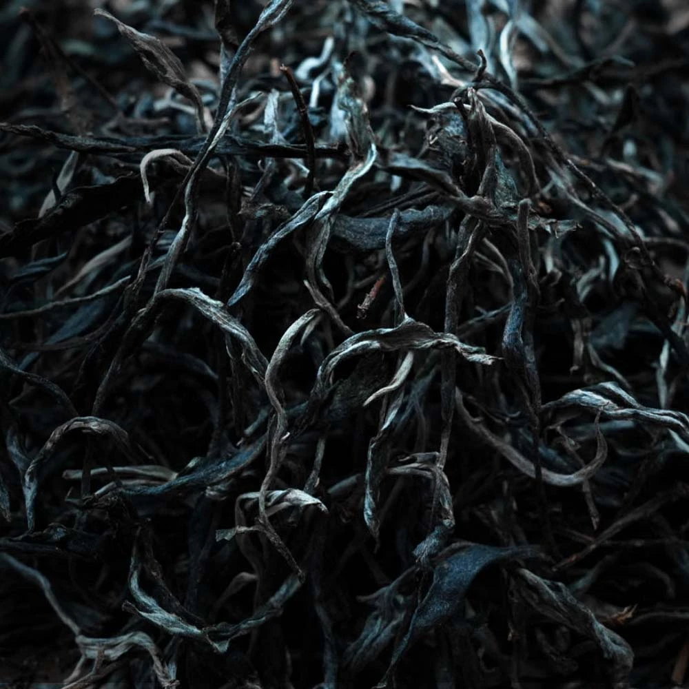 【甜入心扉】临沧 勐库 正气塘  2024年 头春 古树 生茶 散茶