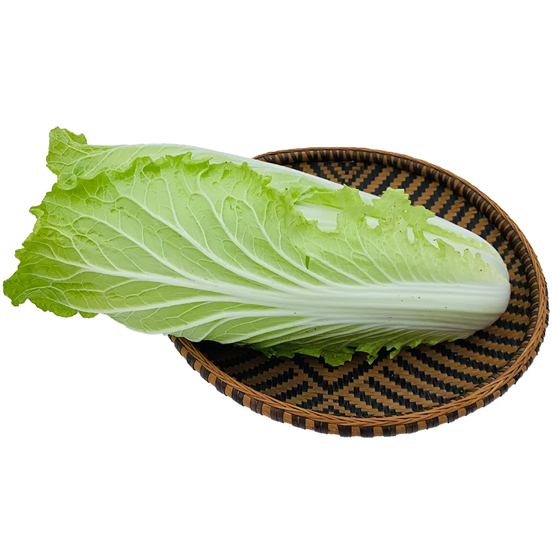太朴有机会【顺丰快递】生态露天种植白菜农场应季蔬菜4斤装