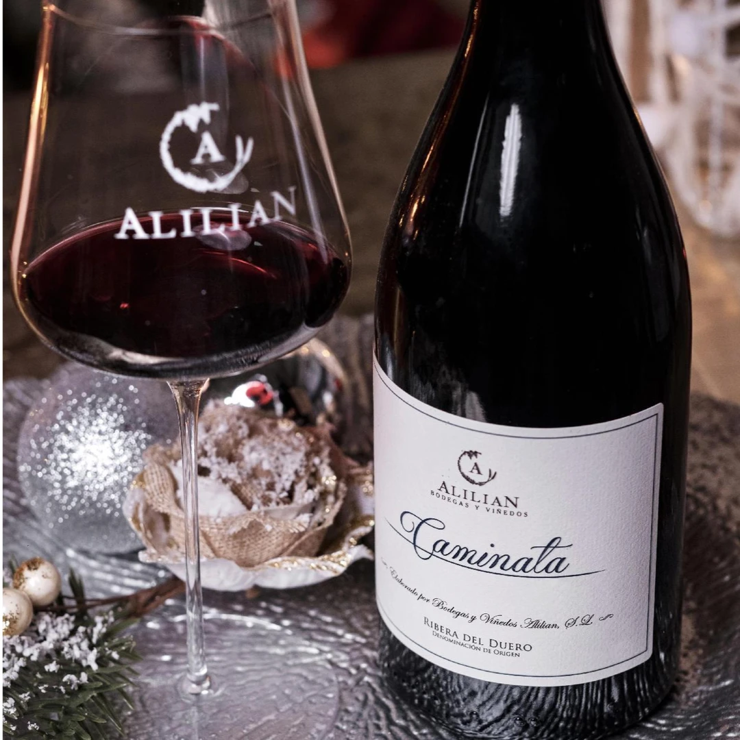 ALILIAN·纳塔干红葡萄酒 西班牙阿里亮酒庄原装进口