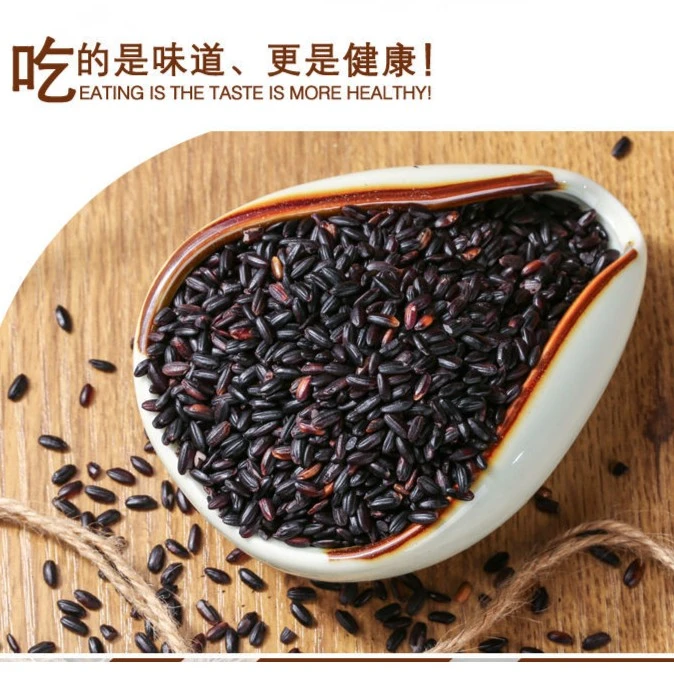 农家黑米黑香米杂粮粗粮糙米糕粥原料大米粥新鲜颗粒营养饱满