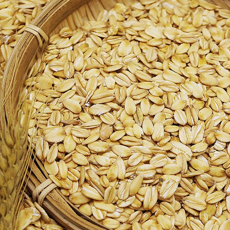 生燕麦片农家纯麦片水煮非即食需煮五谷杂粮散装煮粥专用香甜浓郁