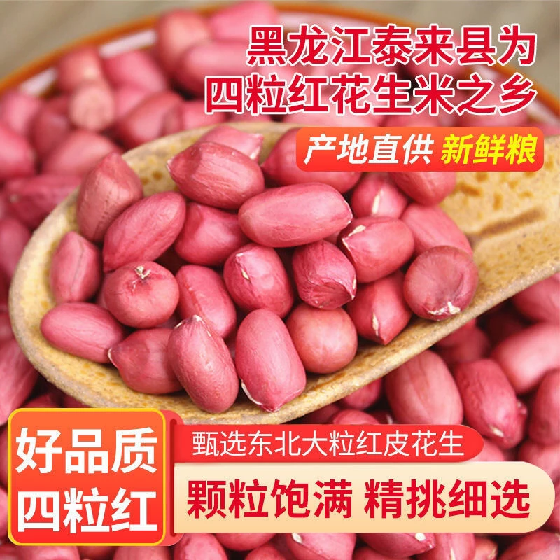 东北红衣生花生米黑龙江四粒红花生仁新鲜红皮不带壳生的新货