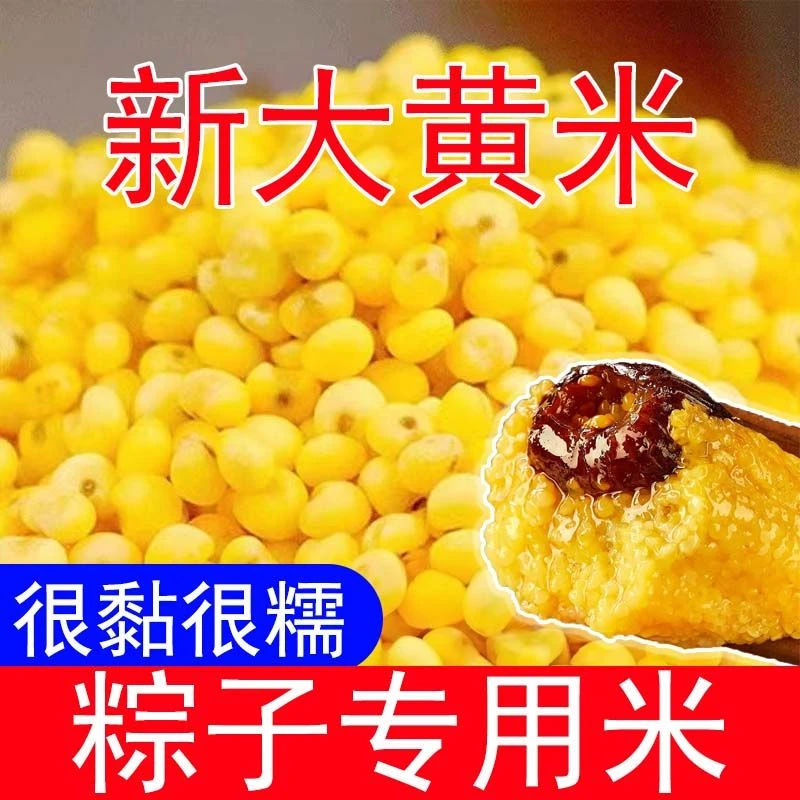 东北大黄米新米包粽子专用黄粘米年糕煮粥新鲜粘糯营养好喝