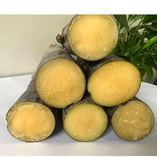 新鲜广西正宗黑皮甘蔗脆甜多汁非青皮甘蔗新鲜现砍现发热带水果