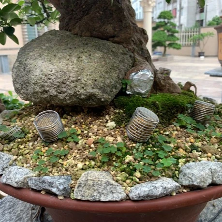 文人乐事园艺专用肥盒大号带盖子（40个）