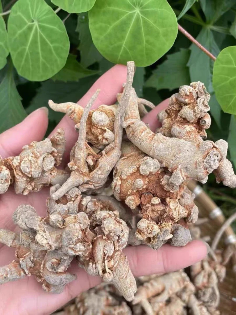 云南土特产,37/野37,滋补佳品,天然健康原生态500g