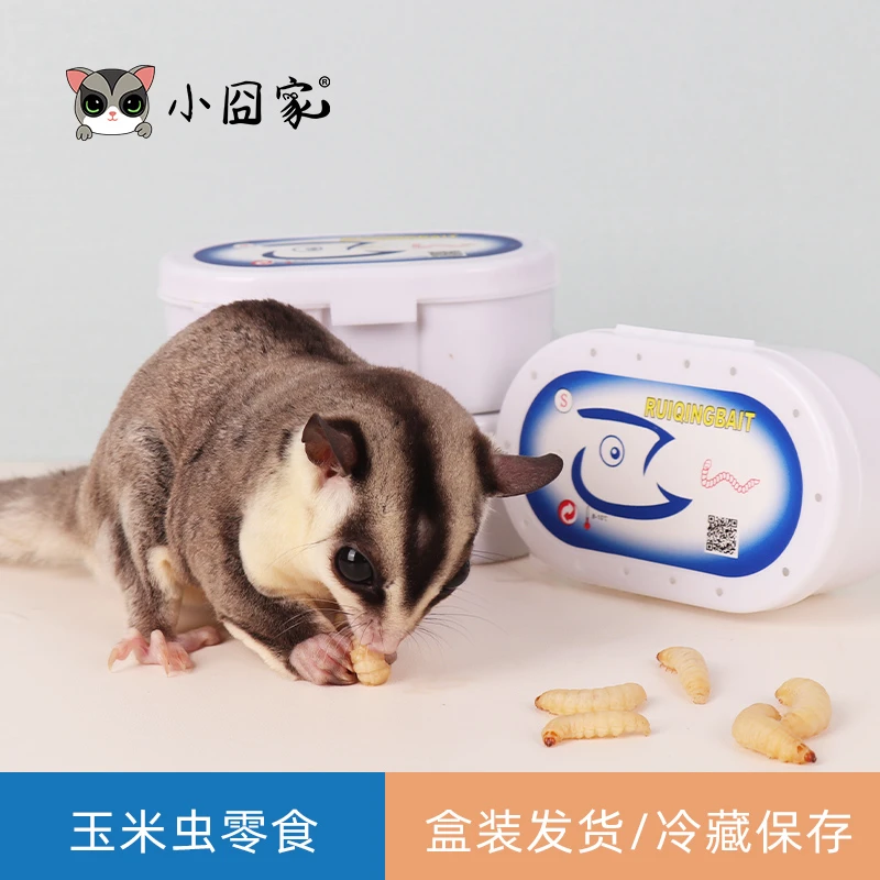 小囧家蜜袋鼯零食葡萄蜜玉米虫仓鼠花枝食物鹦鹉鸟吃的活虫营养粮
