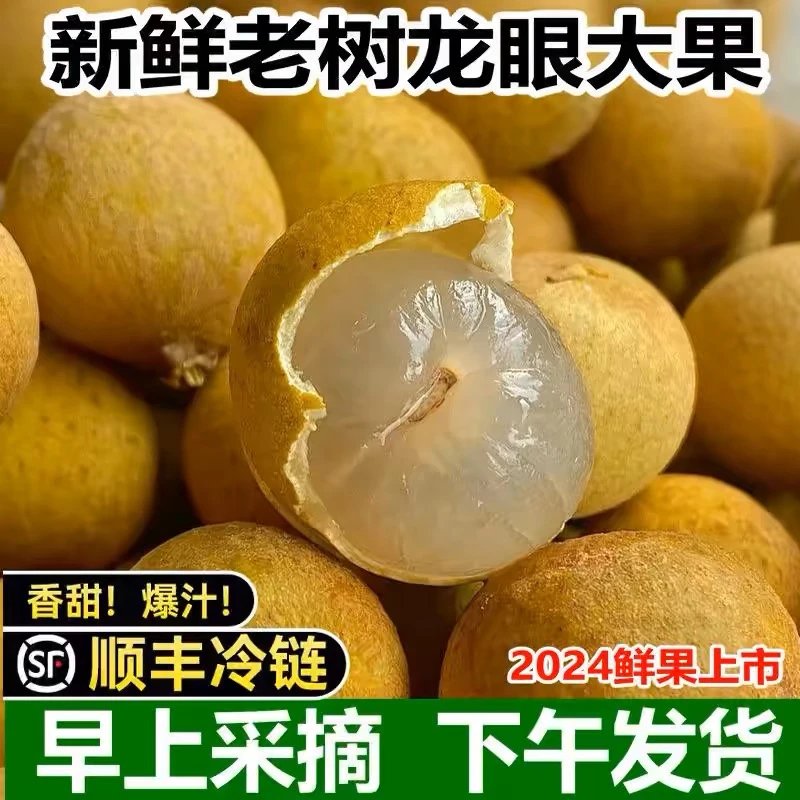 【顺丰现货】现摘龙眼新鲜整箱当季水果石硖储良桂圆龙眼香甜肉厚