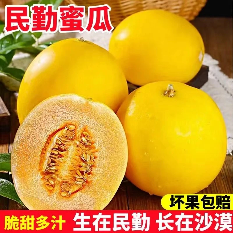 【于甄鲜】甘肃民勤蜜瓜沙漠红金宝甜瓜现摘现发脆甜4.5-9斤