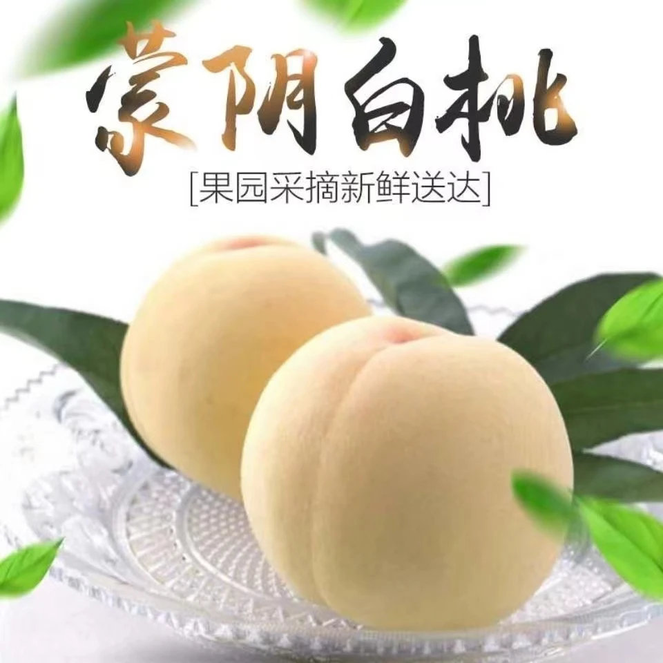 【于甄鲜选】山东蒙阴奶油大白桃脆桃脆甜多汁新鲜时令水果3-4.5斤