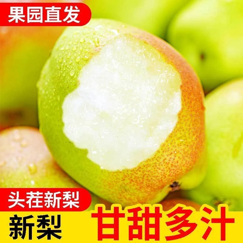 【镜子专属】于甄鲜头茬红香酥梨脆甜新鲜梨子薄皮甘甜多汁3-9斤