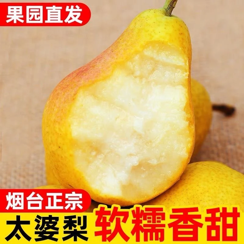 【于甄鲜】烟台太婆梨软糯现摘甜糯大头梨香蕉梨时令水果4.5-5斤