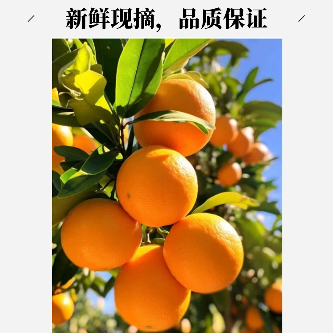 正宗江西红橙（血橙）10斤装 不催熟 不打蜡 新鲜水果 现摘现发