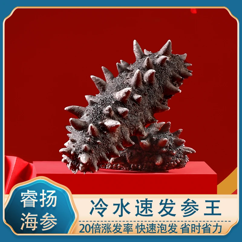 速发参王21只大连淡干海参免煮速发辽刺参非即食海参干货