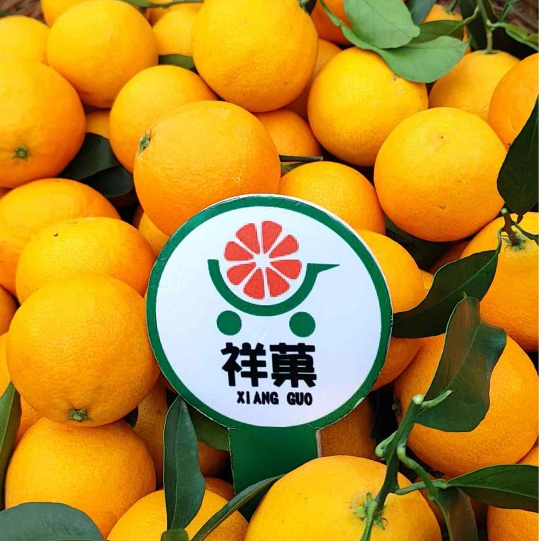 爱媛38号果冻橙 【祥菓严选】