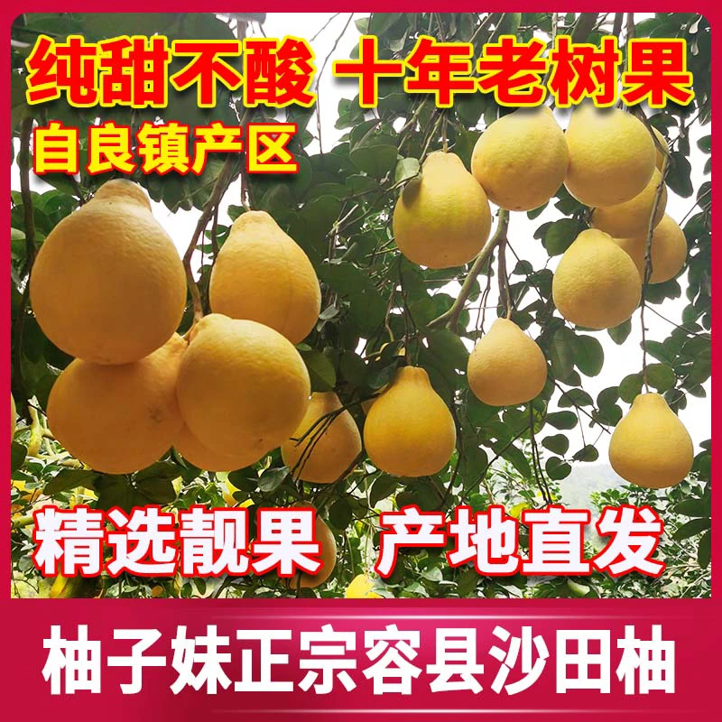 二十多年老树果  精品果尝鲜价