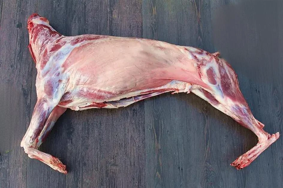 带皮山羊整只礼品小山羊