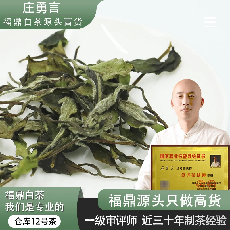 12号茶庄勇言福鼎白茶2021年柚子花香高山日晒白牡丹250g散茶散装