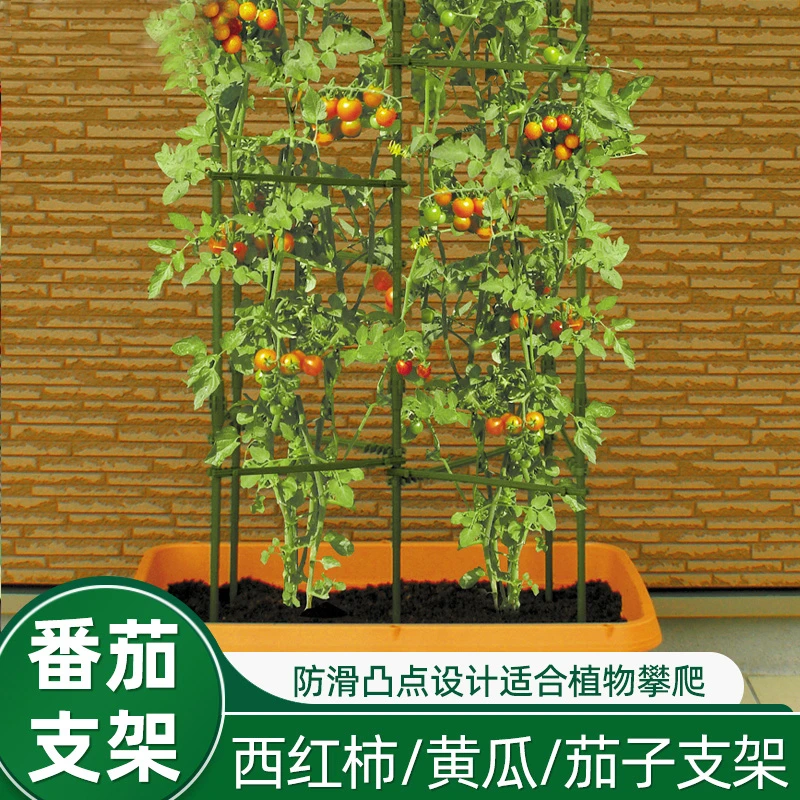 番茄架子家庭蔬菜架杆种菜支撑盆栽阳台固定西红柿黄瓜种菜花架