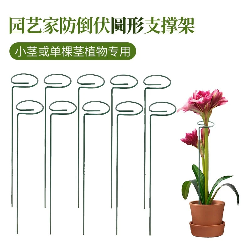 半圆造型植物固定防倒伏花架子支撑杆园艺阳台支架耐用结实耐用