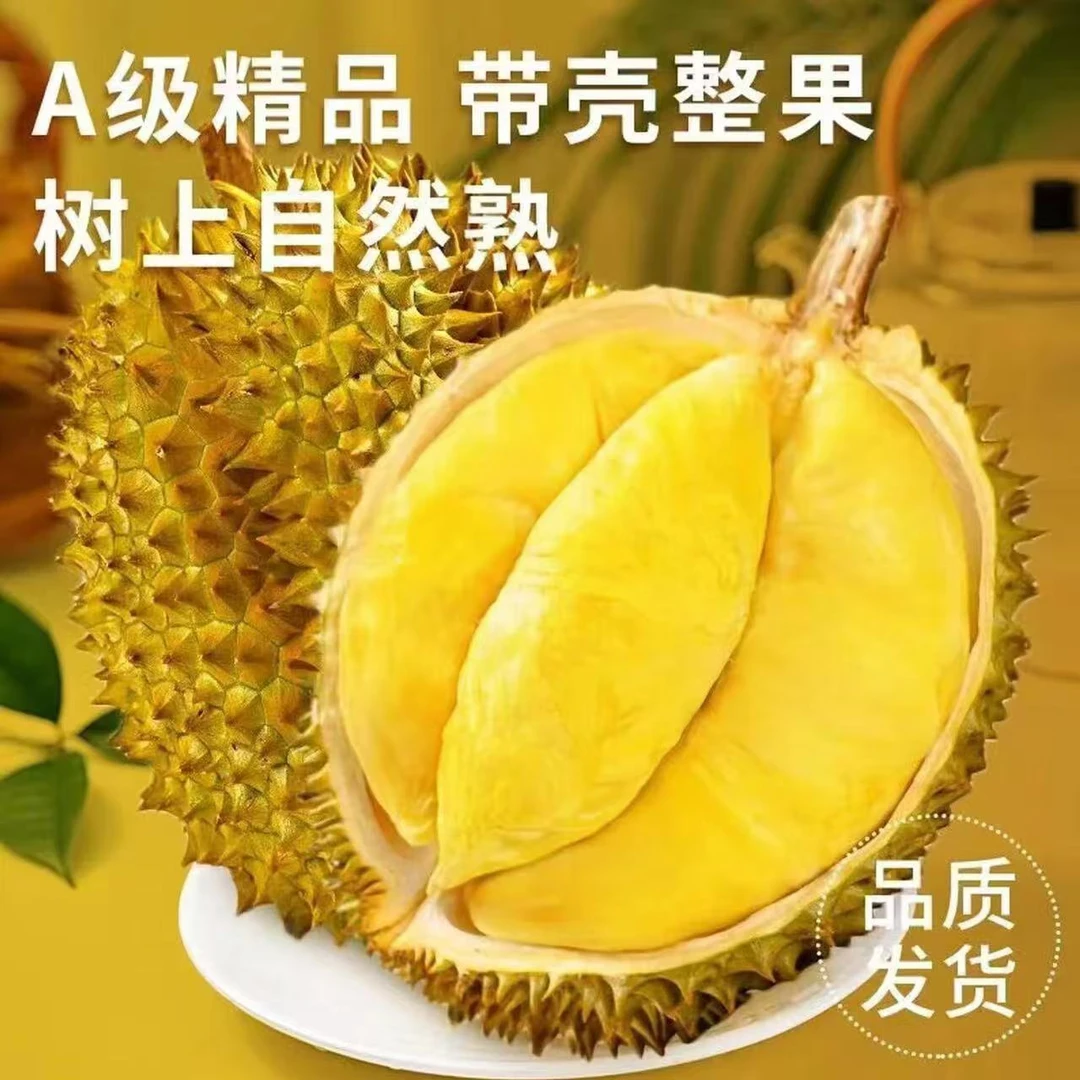 【一果一拍】5-9斤精选黄金普雅树熟鲜榴莲 香甜软糯 顺丰包邮