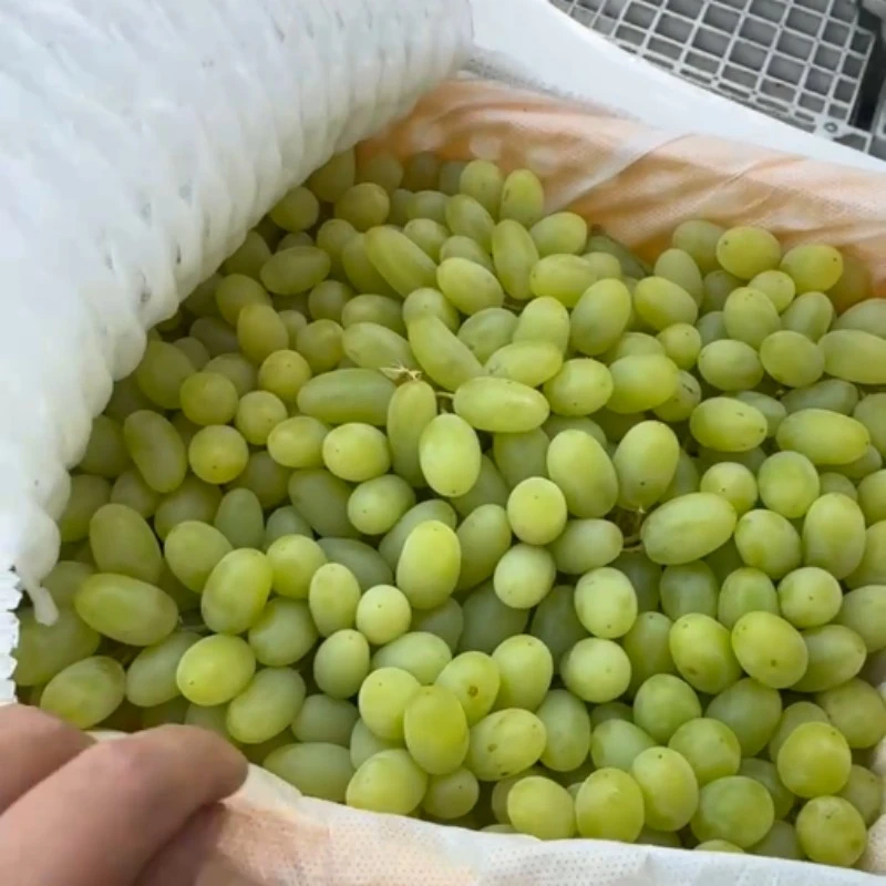 （新品浮力）新疆无核白5斤原箱礼盒玻璃新疆新鲜水果净重4斤以上