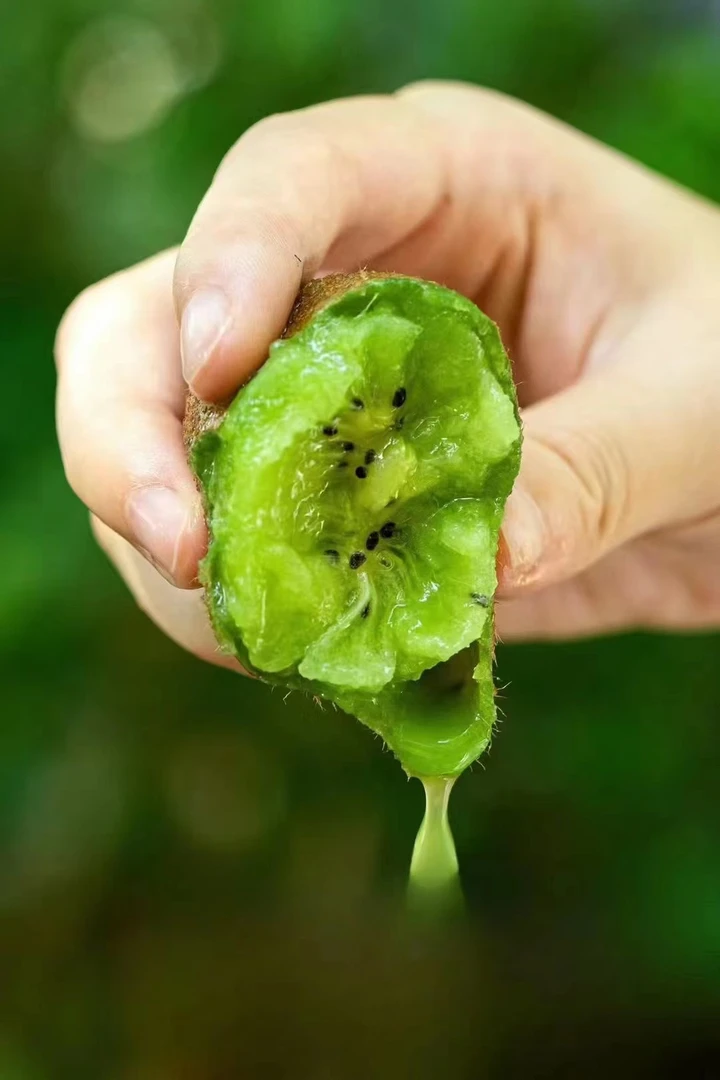 正宗碧玉猕猴桃新鲜猕猴桃香甜绿心猕猴桃现摘营养酸甜大果爽口