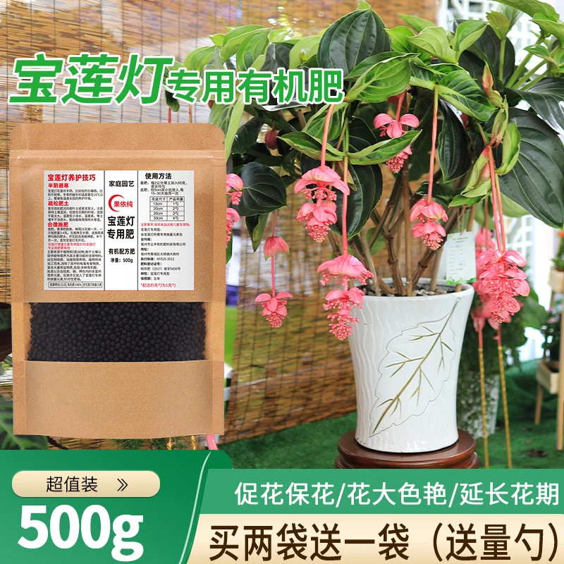宝莲灯专用肥宝莲花肥料绿叶营养液盆景栽珍珠宝石莲灯花有机肥
