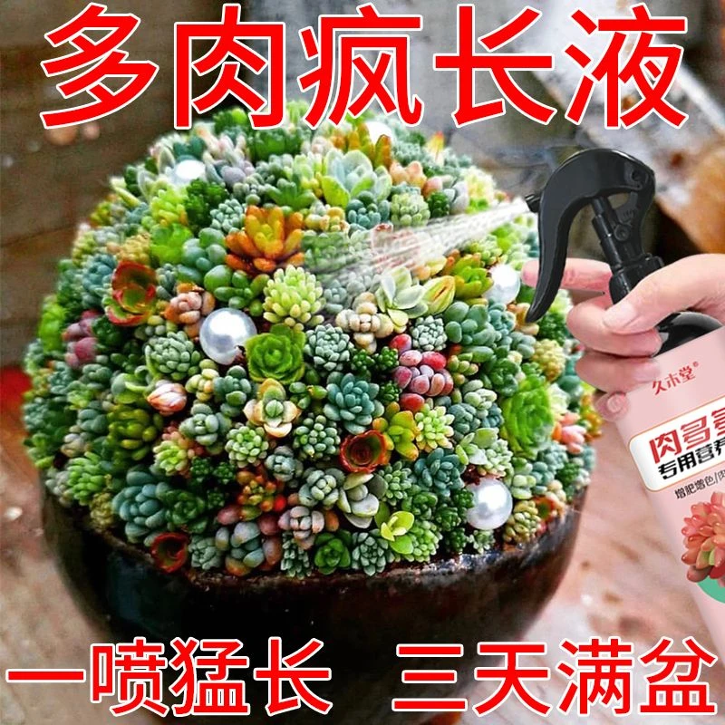 三天满盆】肉多多营养液爆芽王多肉爆盆专用肥助生长促发芽疯长剂