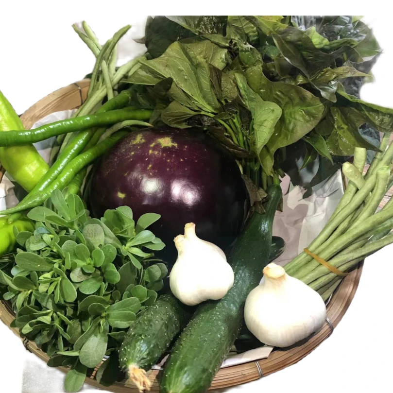 边境深山现收山货蔬菜【金，线，莲，搭配使用】