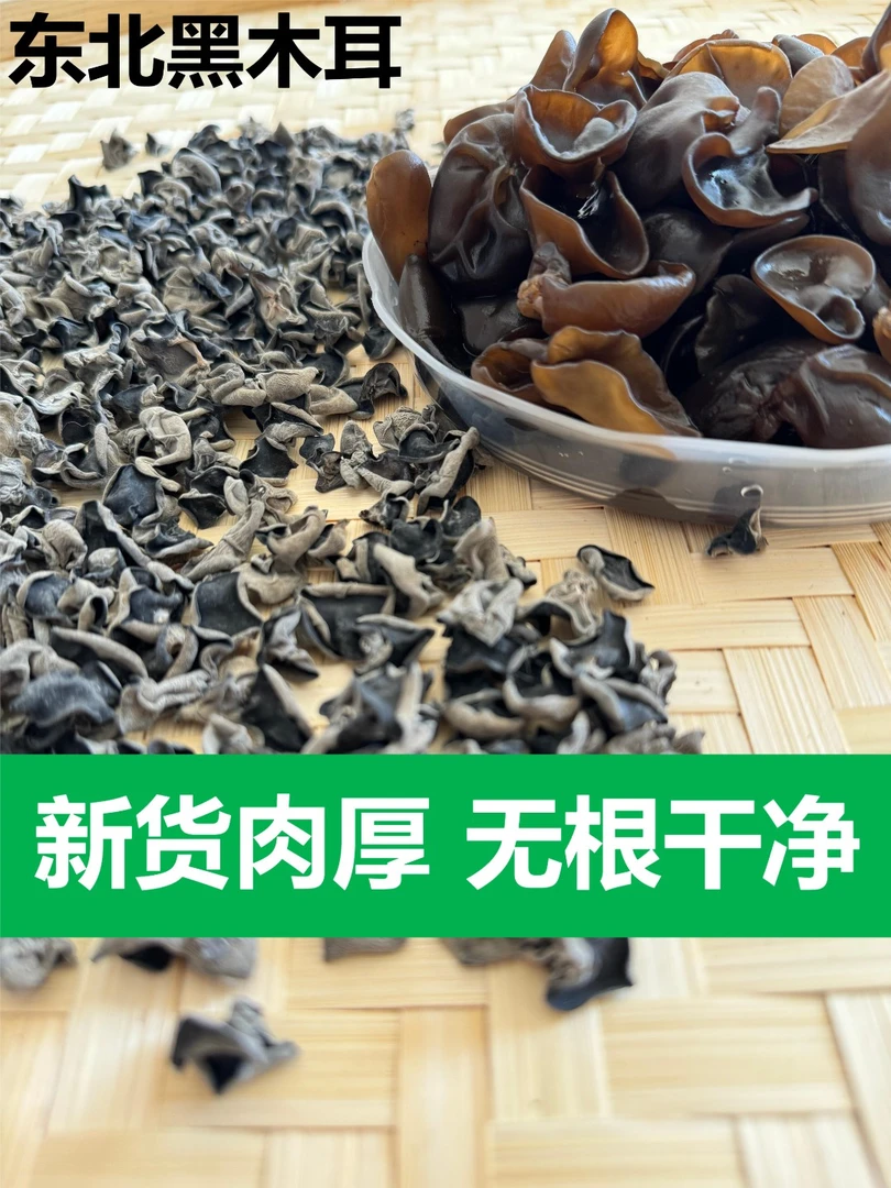 东北小兴安岭伊春头茬黑木耳肉厚无根优质干货特产秋木耳无增重