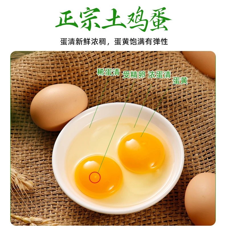 【10枚福利】新鲜农家散养谷物新鲜土鸡蛋营养健康别适合小孩孕妈妈