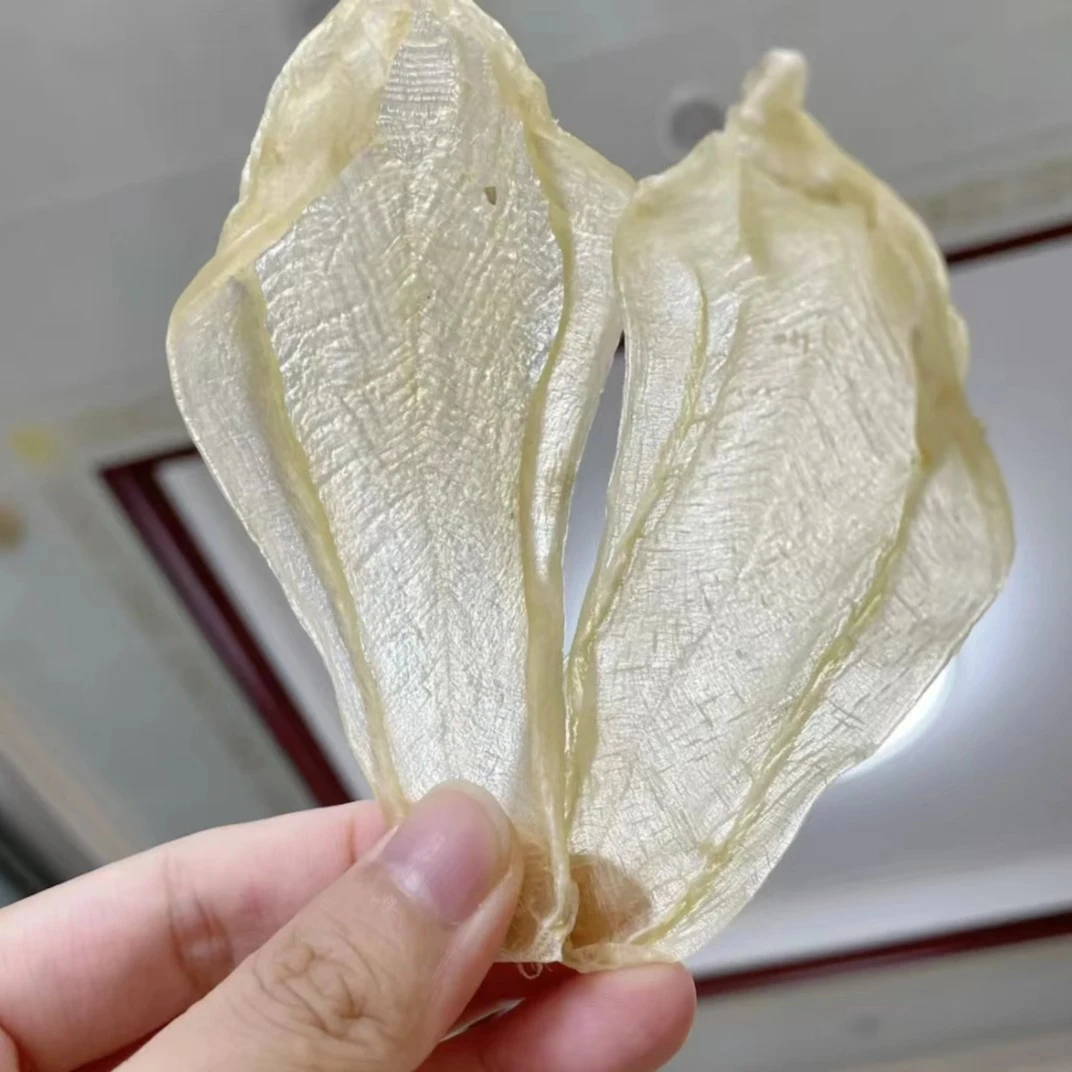 丹丹滋补 印白鱼胶综合链接 直播鱼胶 直播称重1-500g 以直播为准