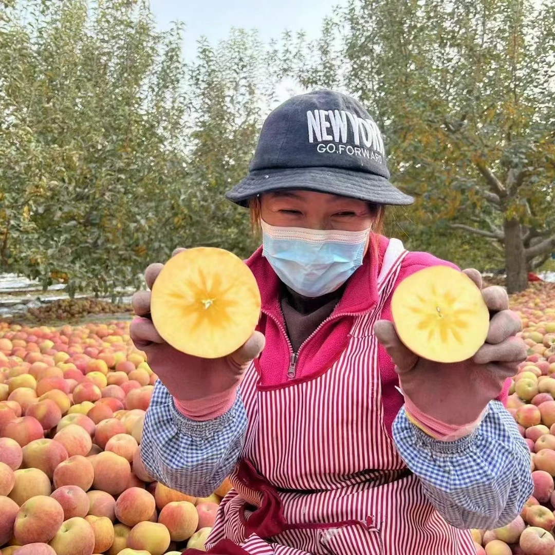 新疆阿克苏冰糖心苹果