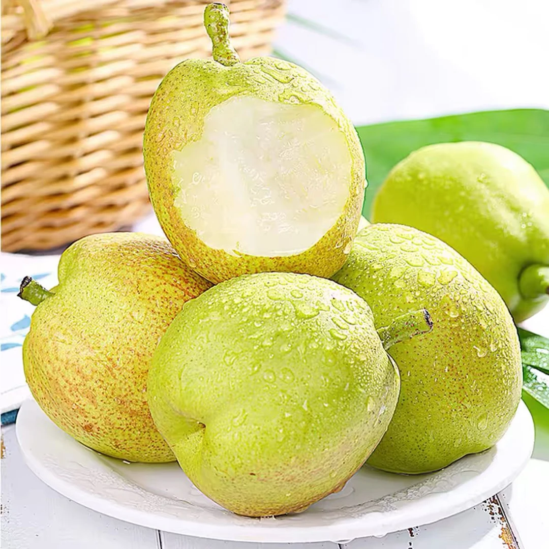 新疆库尔勒香梨直销店