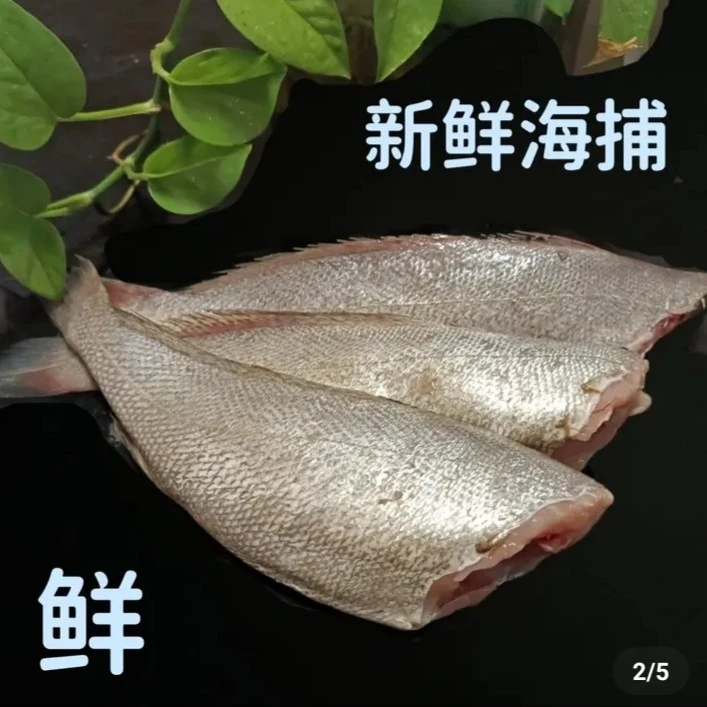 连云港 新鲜速冻 去头去内脏鳘鱼  一斤3到4条 4斤送一斤发5斤