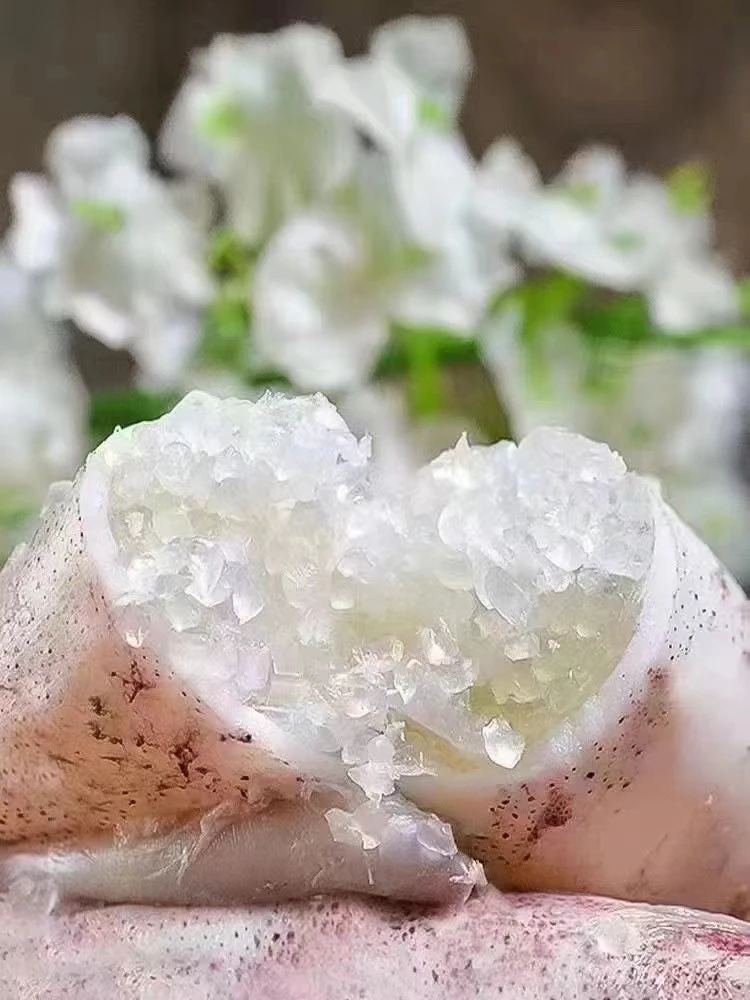 胶州湾鱼船当地带仔比管
