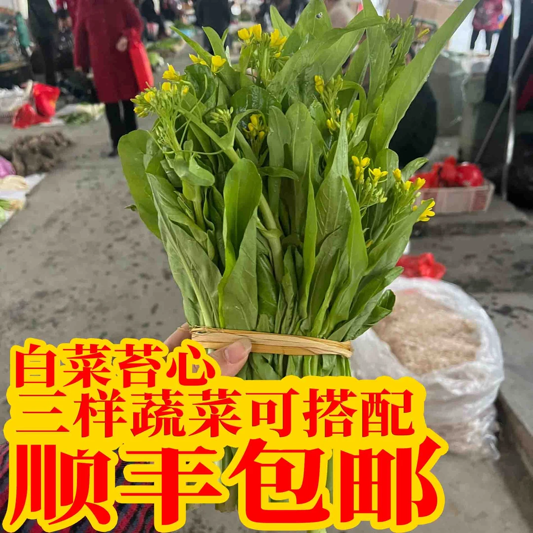湖南攸县酒埠江本地蔬菜白菜苔可搭配其他混搭三样