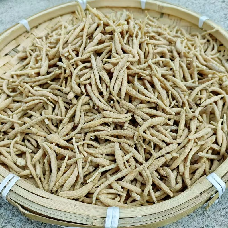 农家山货  太子参  年份久远参香浓郁