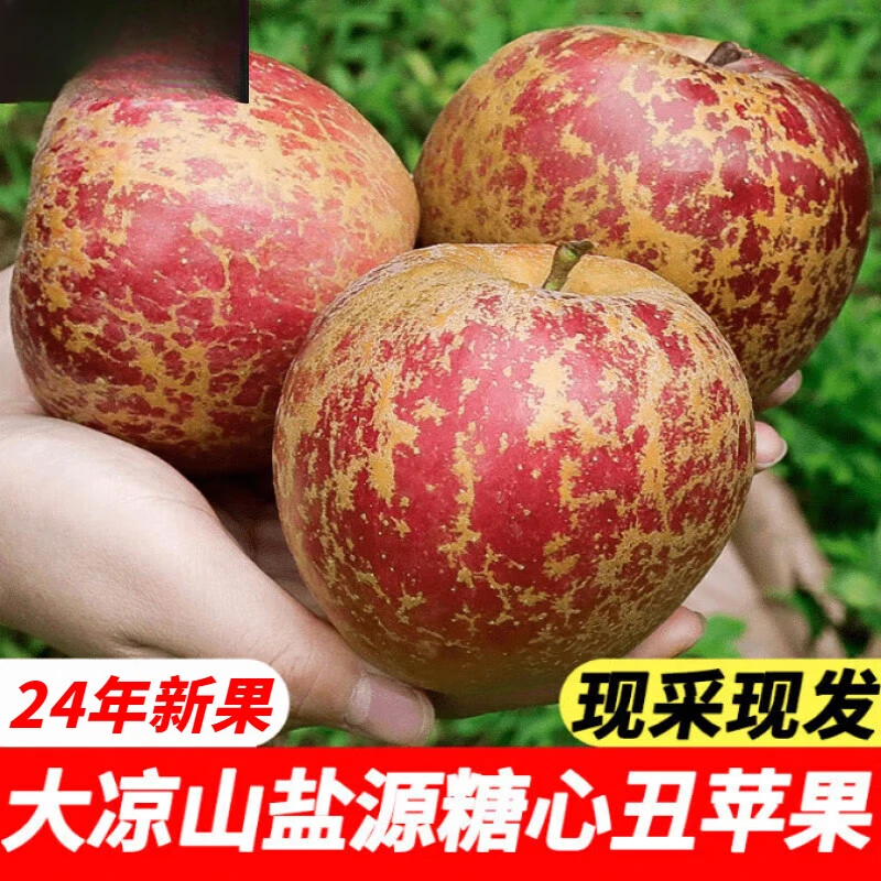 四川大凉山丑苹果盐源冰糖心苹果脆甜