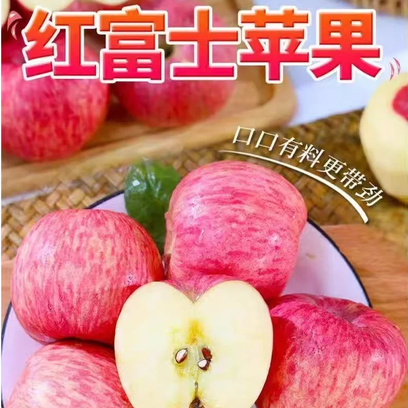 （书记助农）80#-85#果10斤-5斤装正宗山东烟台苹果栖霞红富士脆甜