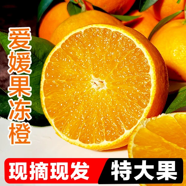 【特大果】爱媛8号果冻橙手剥橙皮薄多汁新鲜采摘4.5-8斤红美人香甜