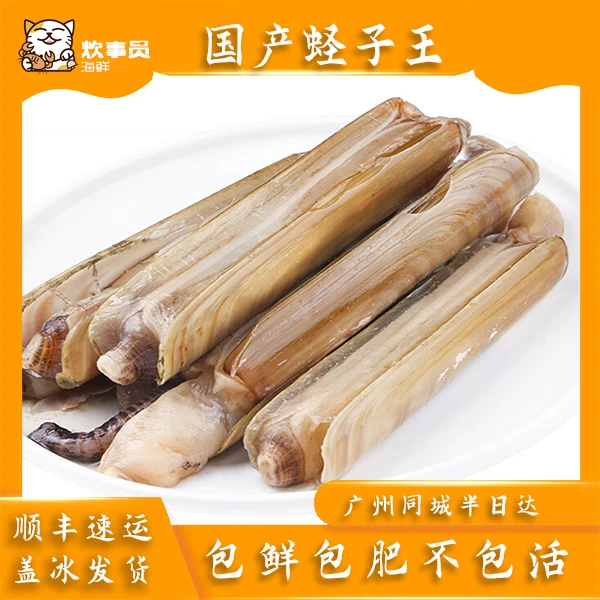 活发国产鲜活蛏子王 掉水8％介意勿拍  包鲜包肥不包活   1.5kg