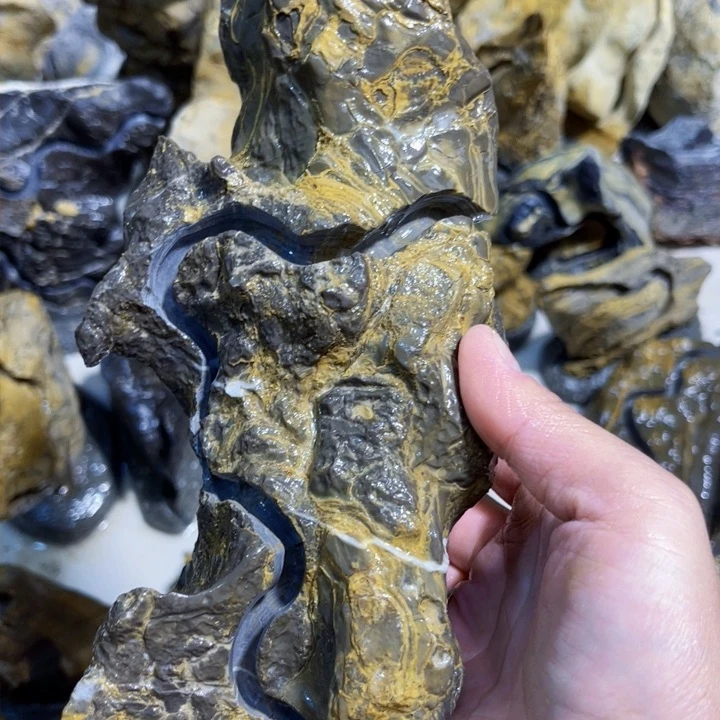 一***菜附石盆景一物一拍