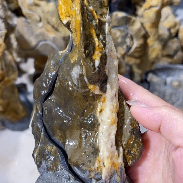 可*附石盆景一物一拍