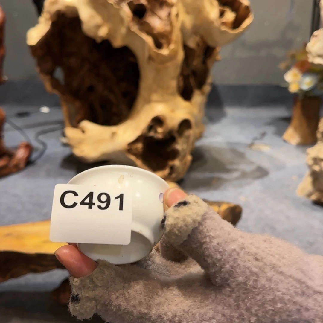 【闪购商品】陶瓷491不***明