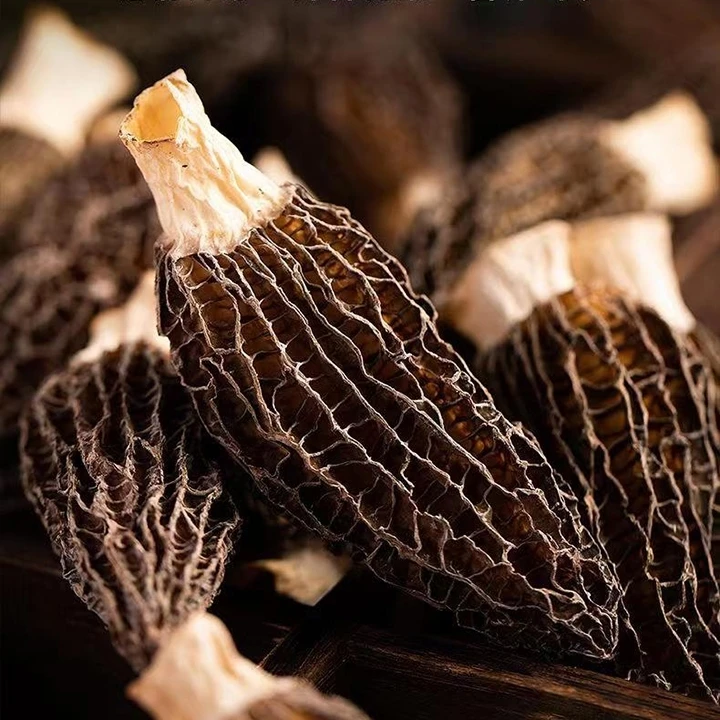 甘肃康县特产羊肚菌250克袋装干货包邮炒菜炖汤