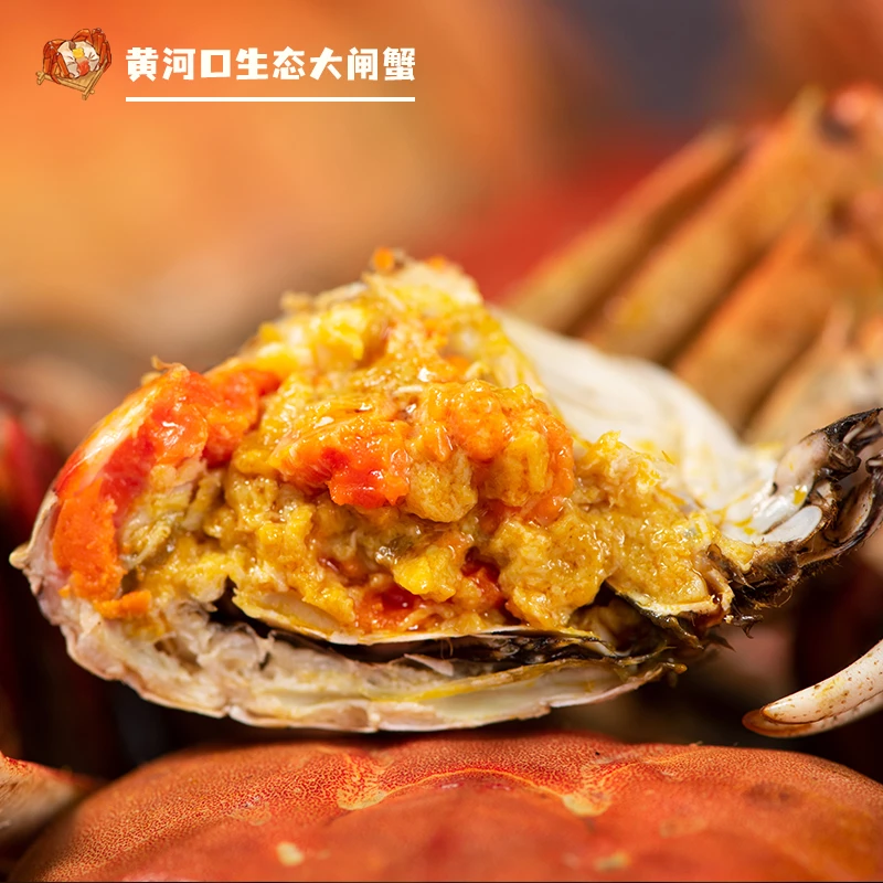 【活蟹】全母2.3-2.6两到 8只大闸蟹 东营黄河口现发鲜活大闸蟹