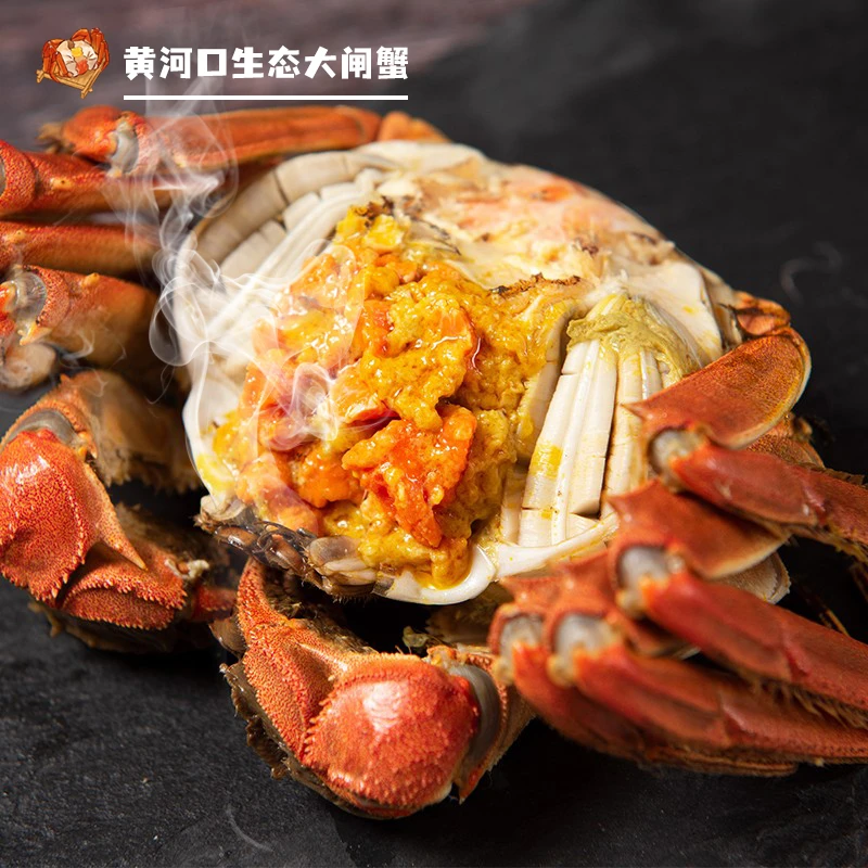 【活蟹】8母2.1-1.9两 8公2.1-1.9两到 16只大闸蟹东营黄河口大闸蟹