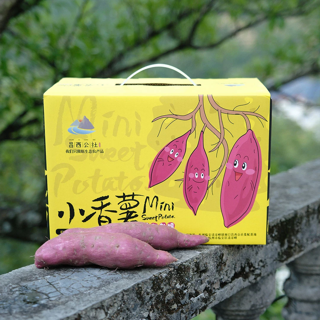 昌西公社【礼盒装】临安天目山小香薯生态种植软糯香甜现挖现发5斤